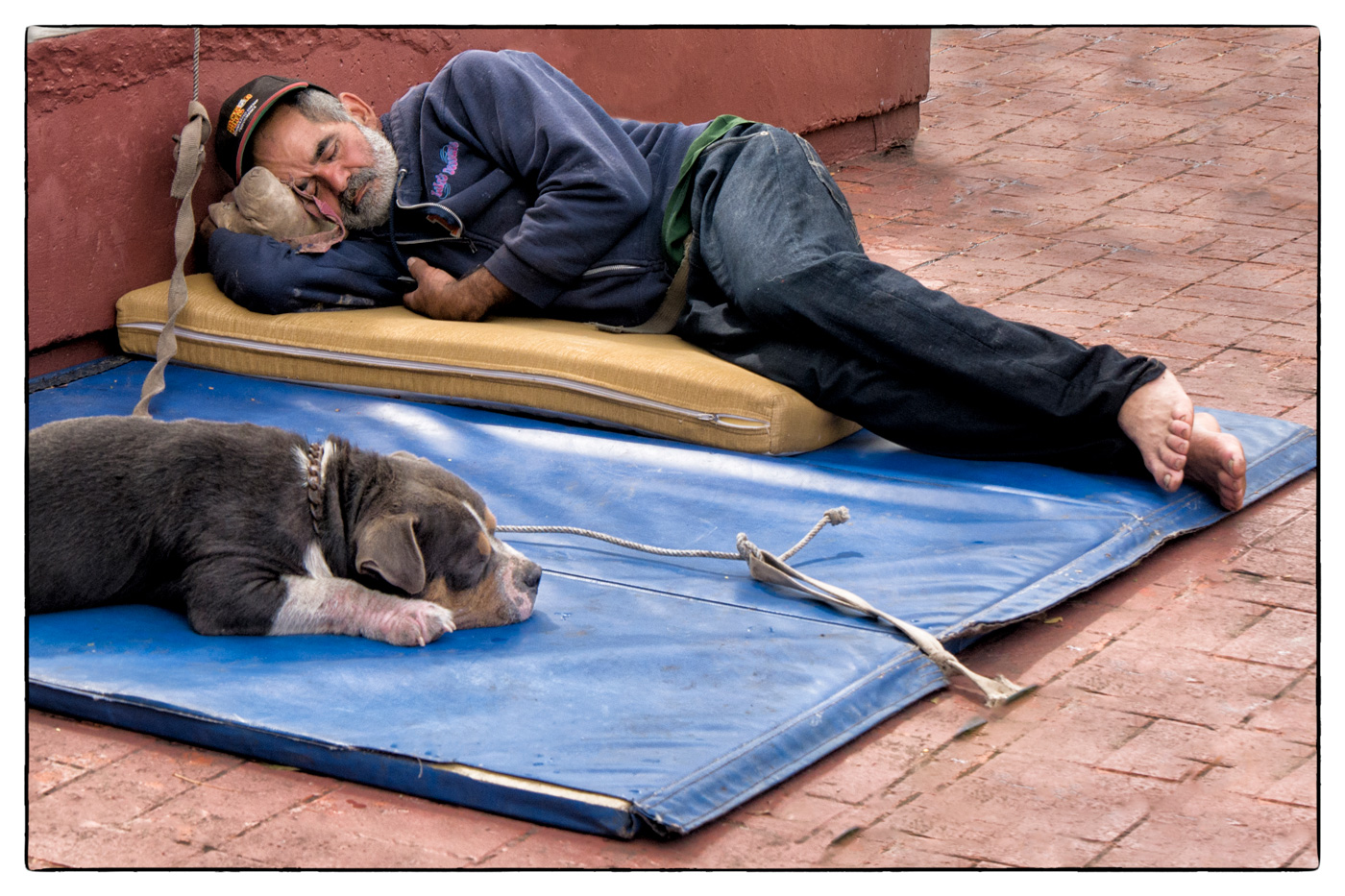 Dog Tired - Mel Annis